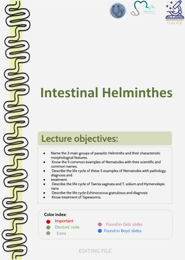 Ascaris Lumbricoides (Roundworm)