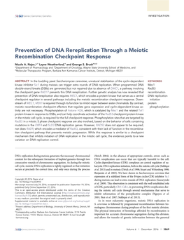 Prevention of DNA Rereplication Through a Meiotic Recombination Checkpoint Response