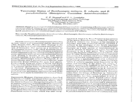 Taxonomic Status of Bambusaspis Miliaris, B. Robusta, and B. Pseudomiliaris (Hemiptera: Coccoidea: Asterolecaniidae)