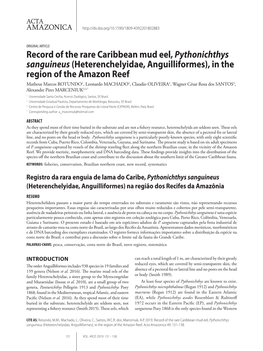 Record of the Rare Caribbean Mud Eel