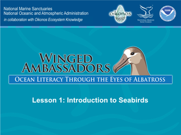 Lesson 1: Introduction to Seabirds Lesson 1 Presentation Content