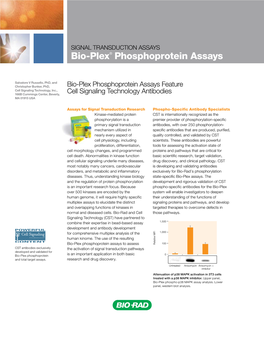 Bio-Plex® Phosphoprotein Assays