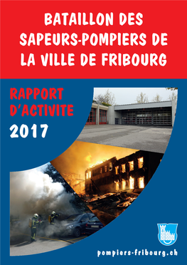 Rapport 2017