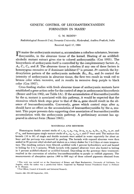 Genetic Control of Leucoanthocyanidin Formation in Maize1