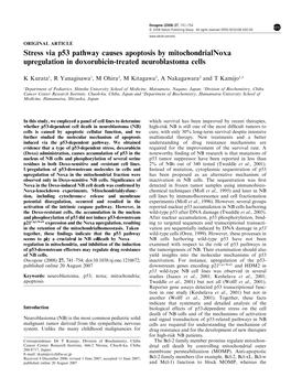 Stress Via P53 Pathway Causes Apoptosis by Mitochondrial Noxa