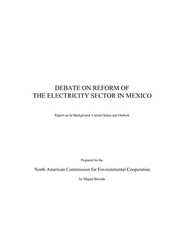 Debate on Reform of the Electricity Sector in Mexico