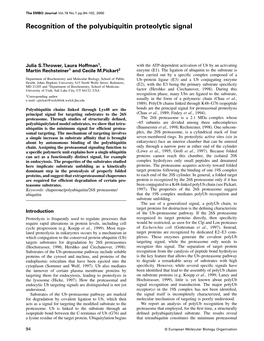 Recognition of the Polyubiquitin Proteolytic Signal