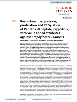 Recombinant Expression, Purification and Pegylation of Paneth Cell Peptide