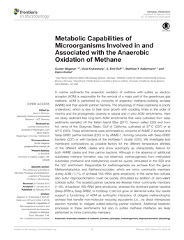 Metabolic Capabilities of Microorganisms Involved in and Associated with the Anaerobic Oxidation of Methane