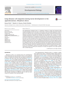 Long-Distance Cell Migration During Larval Development in the Appendicularian, Oikopleura Dioica