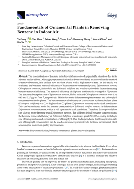 Fundamentals of Ornamental Plants in Removing Benzene in Indoor Air