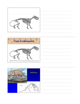 Lec 2.06 Evidence for Evolution