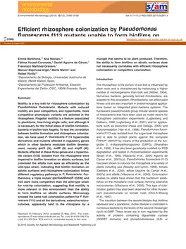 Efficient Rhizosphere Colonization by Pseudomonas Fluorescens F113