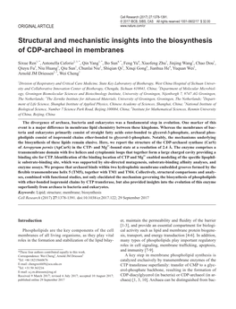 Structural and Mechanistic Insights Into the Biosynthesis of CDP-Archaeol in Membranes