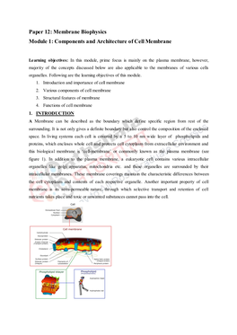 Components and Architecture of Cell Membrane