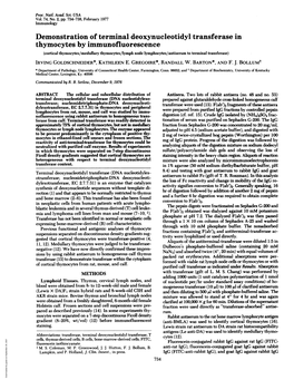 Demonstration of Terminal Deoxynucleotidyl Transferase In