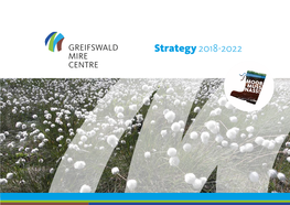 Strategy 2018-2022
