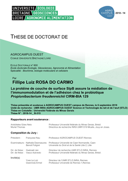 These De Doctorat De