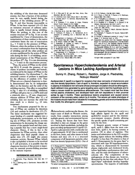 Spontaneous Hypercholesterolemia and Arterial Lesions in Mice Lacking Apolipoprotein E SH Zhang, RL Reddick, JA Piedrahita and N Maeda