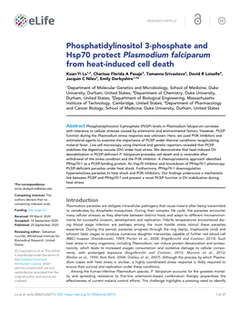 Phosphatidylinositol 3-Phosphate and Hsp70 Protect Plasmodium