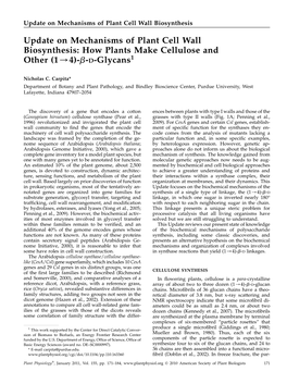 Update on Mechanisms of Plant Cell Wall Biosynthesis: How Plants Make Cellulose and 1 Other (1/4)-B-D-Glycans