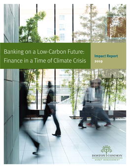 Banking on a Low-Carbon Future: Impact Report Finance in a Time of Climate Crisis 2019