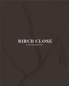 BIRCH CLOSE KINGSTON BAGPUIZE Welcome Home