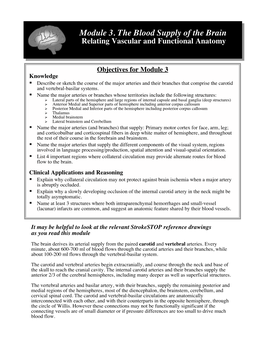 Module 3. the Blood Supply of the Brain Relating Vascular and Functional Anatomy