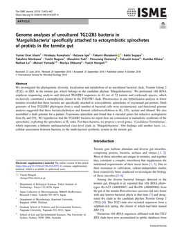 Genome Analyses of Uncultured TG2/ZB3 Bacteria in ‘Margulisbacteria’ Speciﬁcally Attached to Ectosymbiotic Spirochetes of Protists in the Termite Gut