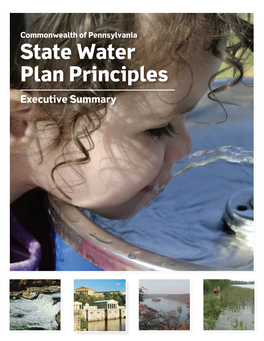 State Water Plan Principles Executive Summary