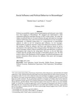 Social Influence and Political Behavior in Mozambique*