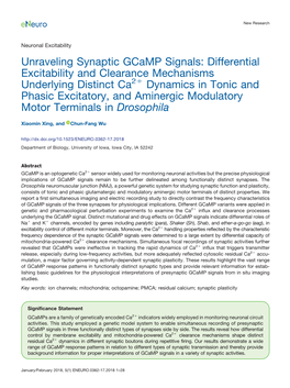 Unraveling Synaptic Gcamp Signals