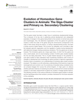 Evolution of Homeobox Gene Clusters in Animals: the Giga-Cluster and Primary Vs