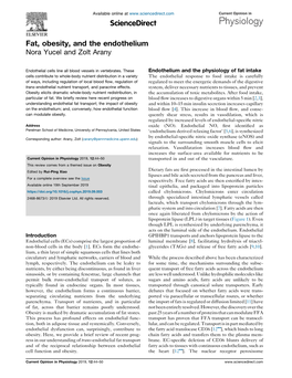 Fat, Obesity, and the Endothelium