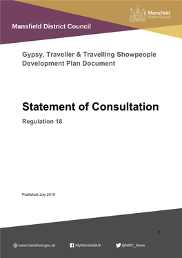 Statement of Consultation Regulation 18