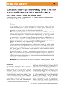 Subdigital Adhesive Pad Morphology Varies in Relation to Structural Habitat Use in the Namib Day Gecko