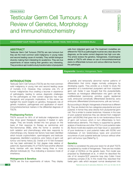 Testicular Germ Cell Tumours: a Review of Genetics, Morphology and Immunohistochemistry Pathology Section