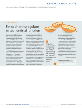 Fat Cadherins Regulate Mitochondrial Function