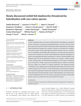 Newly Discovered Cichlid Fish Biodiversity Threatened by Hybridization with Non-Native Species