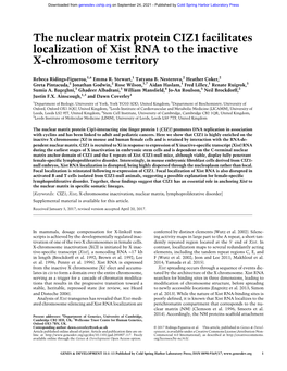 The Nuclear Matrix Protein CIZ1 Facilitates Localization of Xist RNA to the Inactive X-Chromosome Territory