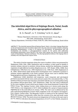 The Intertidal Algal Flora of Isipingo Beach, Natal, South Africa, and Its Phycogeographical Affinities E