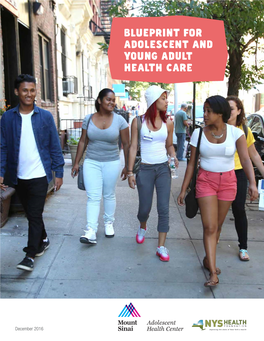 Blueprint for Adolescent and Young Adult Health Care