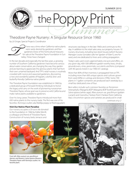 Theodore Payne Nursery: a Singular Resource Since 1960 by Lili Singer, Special Projects Coordinator