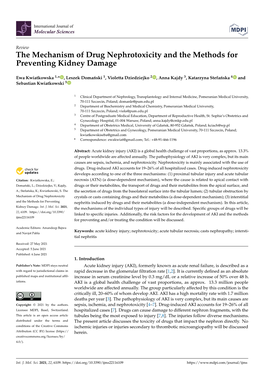 The Mechanism of Drug Nephrotoxicity and the Methods for Preventing Kidney Damage