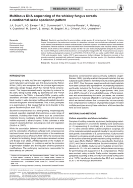 Multilocus DNA Sequencing of the Whiskey Fungus Reveals a Continental‐Scale Speciation Pattern J.A