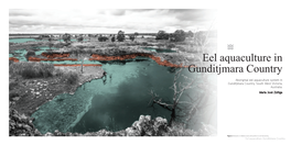 Aboriginal Eel Aquaculture in Guditjmara Country by Maria Jose