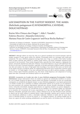 LOCOMOTION in the FASTEST RODENT, the MARA Dolichotis Patagonum (CAVIOMORPHA; CAVIIDAE; DOLICHOTINAE)