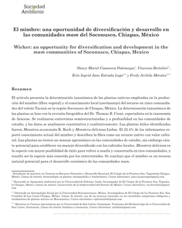 El Mimbre: Una Oportunidad De Diversificación Y Desarrollo En Las Comunidades Mam Del Soconusco, Chiapas, México