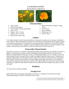 CALIFORNIA POPPY Eschscholzia Californica Characteristics Culture