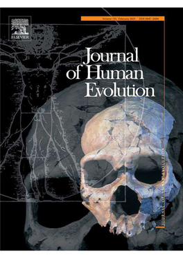 Food Mechanical Properties, Feeding Ecology, and the Mandibular Morphology of Wild Orangutans